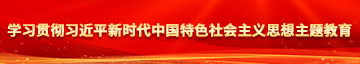 天天日屄日屄学习贯彻习近平新时代中国特色社会主义思想主题教育